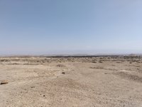 IMG_20260324_112440.jpg
