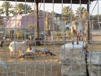 IMG_20260324_171551.jpg
