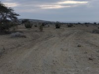 IMG_20260327_071624.jpg