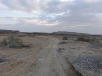 IMG_20260327_072249.jpg