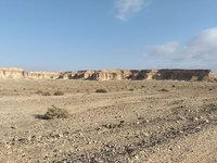 IMG_20260327_081539.jpg