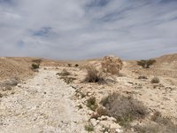 IMG_20260323_114523.jpg