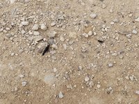 IMG_20260323_135917.jpg