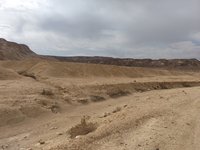 IMG_20260323_150458.jpg