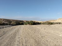 IMG_20260323_163602.jpg