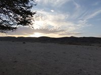 IMG_20260323_171721.jpg