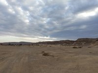 IMG_20260322_062923.jpg
