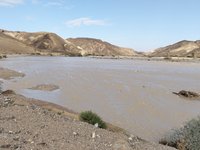 IMG_20260322_080424.jpg