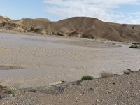 IMG_20260322_080431.jpg