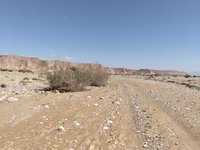 IMG_20260322_101808.jpg