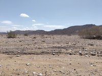 IMG_20260322_101826.jpg
