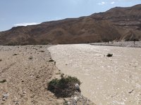 IMG_20260322_103821.jpg