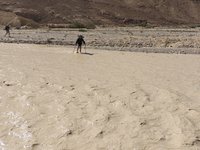 IMG_20260322_103826.jpg