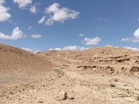 IMG_20260322_122417.jpg