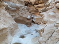 IMG_20260322_161335.jpg
