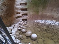IMG_20260322_163218.jpg
