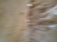 IMG_20260322_163329.jpg
