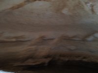IMG_20260322_164025.jpg