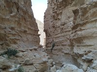 IMG_20260322_165109.jpg