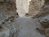 IMG_20260322_165504.jpg