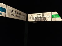 IMG_20260322_183839.jpg