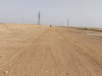 IMG_20260319_084209.jpg