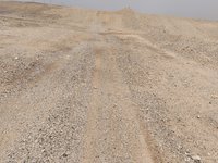 IMG_20260319_115402.jpg