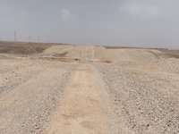 IMG_20260319_120031.jpg