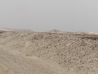 IMG_20260319_143828.jpg