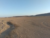 IMG_20260317_071822.jpg