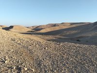 IMG_20260317_073304.jpg