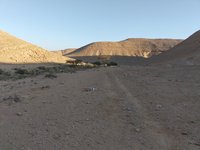 IMG_20260317_073921.jpg