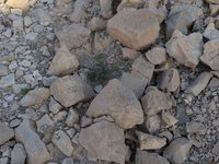 IMG_20260317_080529.jpg