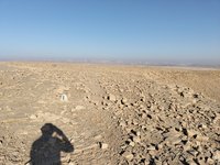 IMG_20260317_082948.jpg