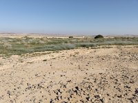 IMG_20260317_083408.jpg