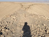 IMG_20260317_083759.jpg