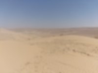 IMG_20260317_101802.jpg