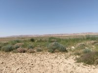 IMG_20260317_105851.jpg