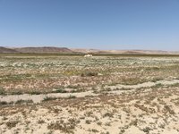 IMG_20260317_112132.jpg