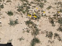IMG_20260317_112348.jpg