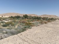 IMG_20260317_115305.jpg