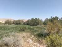 IMG_20260317_115501.jpg