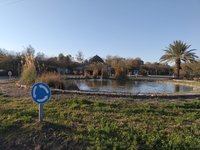 IMG_20260317_165110.jpg