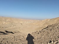 IMG_20260316_072123.jpg