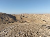 IMG_20260316_072127.jpg