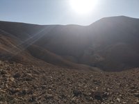 IMG_20260316_072140.jpg