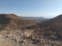 IMG_20260316_073351.jpg