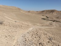 IMG_20260316_085844.jpg