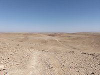 IMG_20260316_105003.jpg