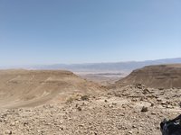 IMG_20260316_105010.jpg